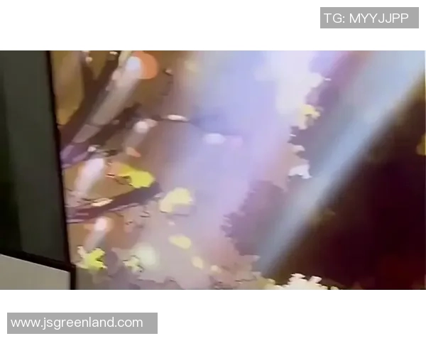 精彩纷呈的现场直播CCTV3带您领略文化盛宴与娱乐盛事的完美结合 精彩纷呈的现场直播CCTV3带您领略文化盛宴与娱乐盛事的完美结合